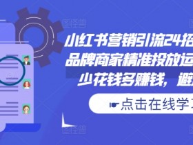 小红书营销引流24招必学课,品牌商家精准投放运营指南,少花钱多赚钱,避坑秘籍!