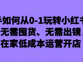新手如何从0-1玩转小红书店铺,无需囤货、无需出镜,可在家低成本运营开店