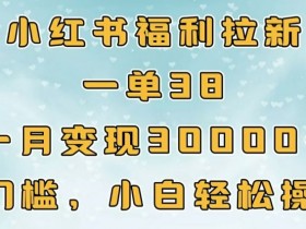 小红书福利拉新,一单38,一月3000+轻轻松松,0门槛小白轻松操作