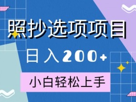10月全新照抄选项项目,快速日入2张,操作简单易上手