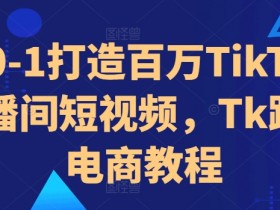 从0-1打造百万TikTok直播间短视频,Tk跨境电商教程