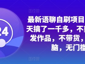 最新语聊自刷项目,亲测3天搞了一千多,不剪辑,不发作品,不带货,简单无脑,无门槛