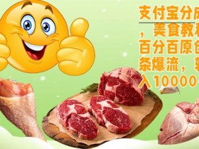 支付宝分成计划,美食教程,百分百原创,条条爆流,轻松月入1w