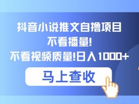 抖音小说推文自撸项目,不看播量,不看视频质量,日入几张