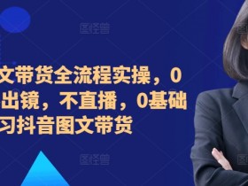 2024图文带货全流程实操,0粉丝,不出镜,不直播,0基础学习抖音图文带货
