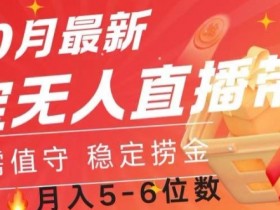 10月最新淘宝无人直播常货,无需值守 稳定捞金