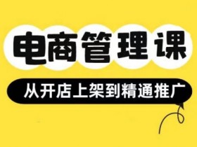 小红书&闲鱼开店从开店上架到精通推广,电商管理课