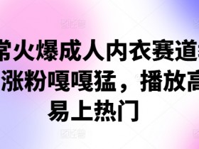 非常火爆成人内衣赛道教学,涨粉嘎嘎猛,播放高,易上热门