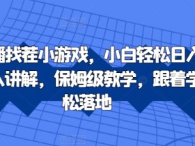 抖音直播找茬小游戏,小白轻松日入1k,需要真人讲解,保姆级教学,跟着学,轻松落地【揭秘】