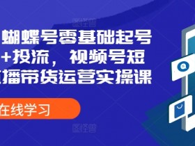 2024蝴蝶号零基础起号全流程+投流,视频号短视频直播带货运营实操课
