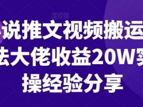 小说推文视频搬运玩法大佬收益20W实操经验分享