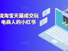 小红书引流淘宝天猫成交玩法2024，电商人的小红书落地玩法