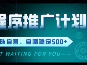 小程序推广计划2.0 ,日入几张,适合新手小白宝妈