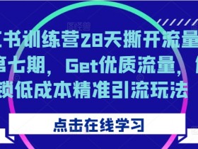 小红书训练营28天撕开流量入口第七期,Get优质流量,解锁低成本精准引流玩法