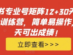 小红书专业号矩阵12+30天引流陪跑训练营,简单易操作,15天可出成绩!