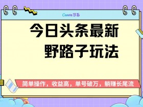 头条最新野路子玩法,无成本简单上手,无脑操作,新手单号过W