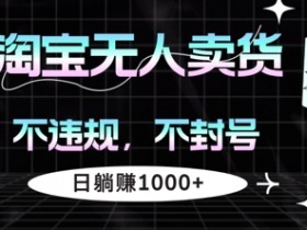 淘宝无人卖货,不违规不封号,简单无脑,日躺入几张