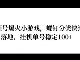 视频号爆火小游戏，螺钉分类快速落地，挂ji操作收益高