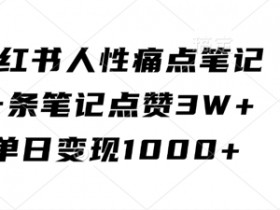 小红书人性痛点笔记,一条笔记点赞3W+,单日变现1k