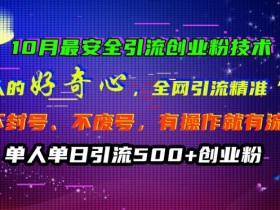 10月最安全引流创业粉技术,利用他人的好奇心全网引流精准“求带粉”不封号、不废号【揭秘】