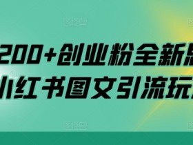 日引200+创业粉全新思路,小红书图文引流玩法【揭秘】