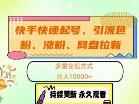 快手快速起号,引流s粉、涨粉、网盘拉新多重变现方式,月入1w【揭秘】
