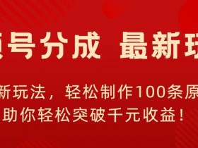 视频号新玩法,轻松制作100条原创视频,让你轻松突破千元收益!
