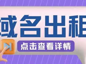 冷门项目，域名出租玩法，简单粗暴适合小白【揭秘】