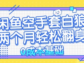 闲鱼进阶玩法,带你玩转zippo打火机