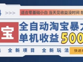 2024淘宝全自动暴力掘金,创业首选,全新玩法,真正的睡后收益