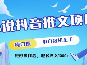 小说抖音推文项目,纯自撸,小白轻松上手,矩形操作后,轻松日入几张