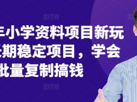 2024年小学资料项目新玩法,长期稳定项目,学会批量复制搞钱