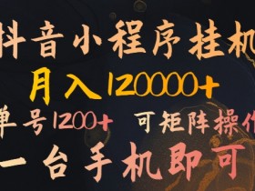 抖音小程序挂机风口项目,月入1.2w,一台手机即可操作,可矩阵操作