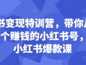 小红书变现特训营，带你从0到1做一个赚钱的小红书号，24堂小红书爆款课