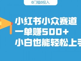 小红书小众赛道,一单收500+,小白也能轻松上手