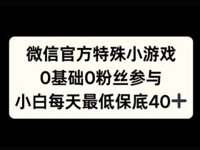 微信官方特定小游戏,0基础0粉丝,小白上手每天最少保底40+