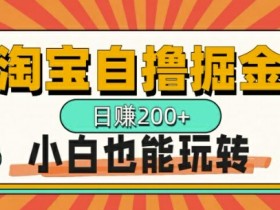 淘宝自撸掘金,一天2张,多号多撸,小白也能玩转