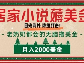 居家小说薅美金,拆解海外撸美金项目月入2000美刀详细指导