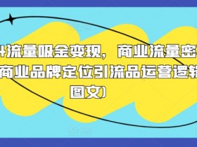 2024流量吸金变现,商业流量密码营销商业品牌定位引流品运营逻辑(图文)