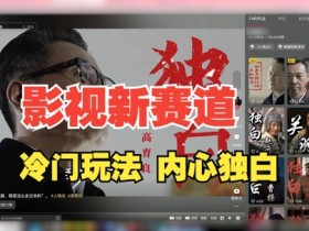 最新影视解说玩法,人物独白,30天涨粉24万+,全流程拆解【揭秘】