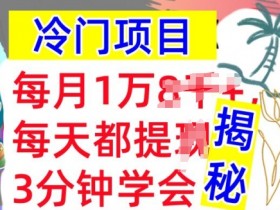 冷门项目,这个方法一定要学会,内部教程,每月1w(揭秘)