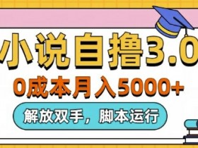小说自撸3.0，解放双手，不浪费时间，适合大众