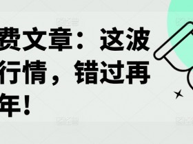 某付费文章：这波改命行情，错过再等十年!