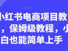 小红书电商项目教程,保姆级教程,小白也能简单上手