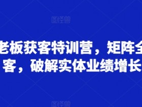 实体老板获客特训营,矩阵全域获客,破解实体业绩增长