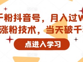 靠卖千粉抖音号,月入过W,最新涨粉技术,当天破千粉