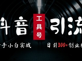 2024最新抖音工具号引流玩法,高效日引300+创业粉,当天变现5k,小白也可成为实战高手