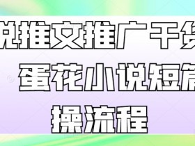 小说推文推广干货分享,蛋花小说短篇实操流程