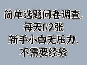 简单选题问卷调查,每天1张,新手小白无压力,不需要经验