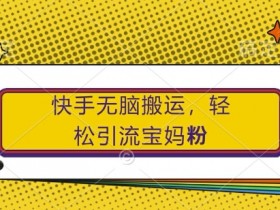 快手无脑搬运，轻松引流宝妈粉，纯小白轻松上手【揭秘】